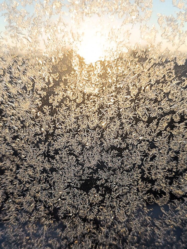 Photograph by Nikita Zorin