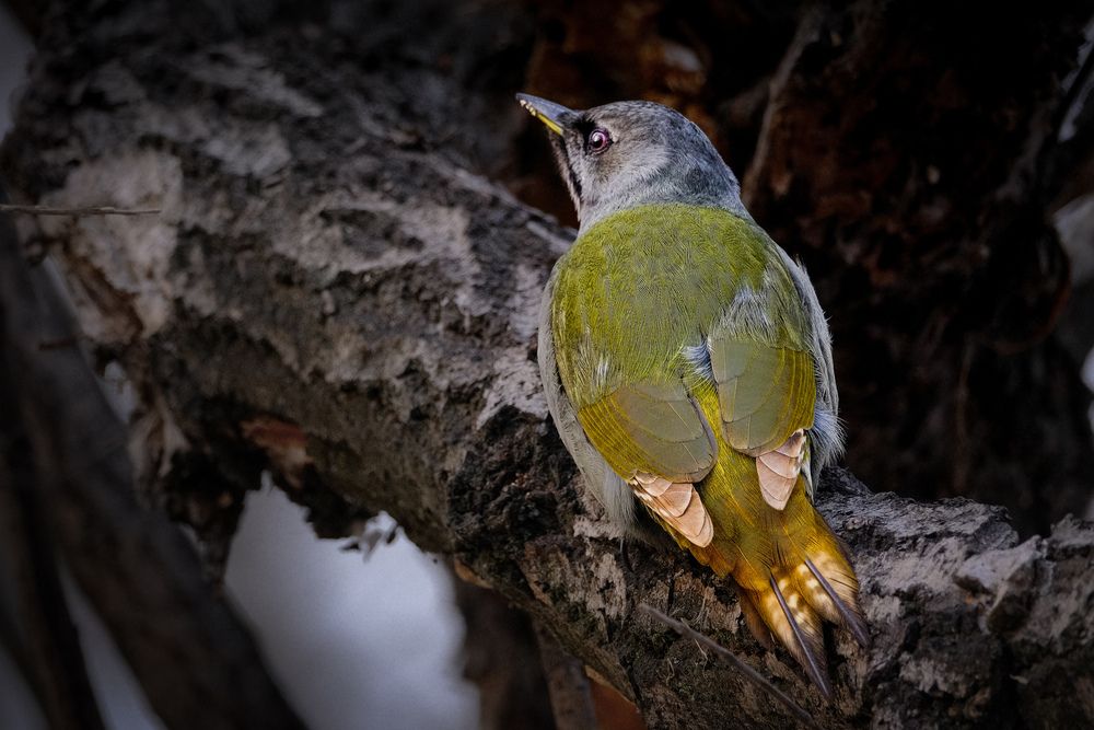 Photograph by Константин Белоногов