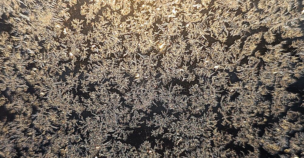 Photograph by Nikita Zorin