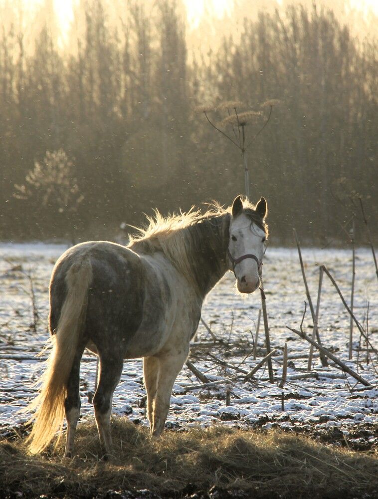 Photograph by Nikita Zorin