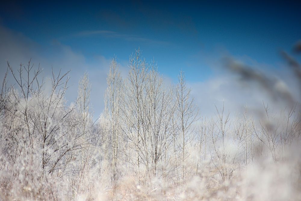 Photograph by Александр Лобынцев