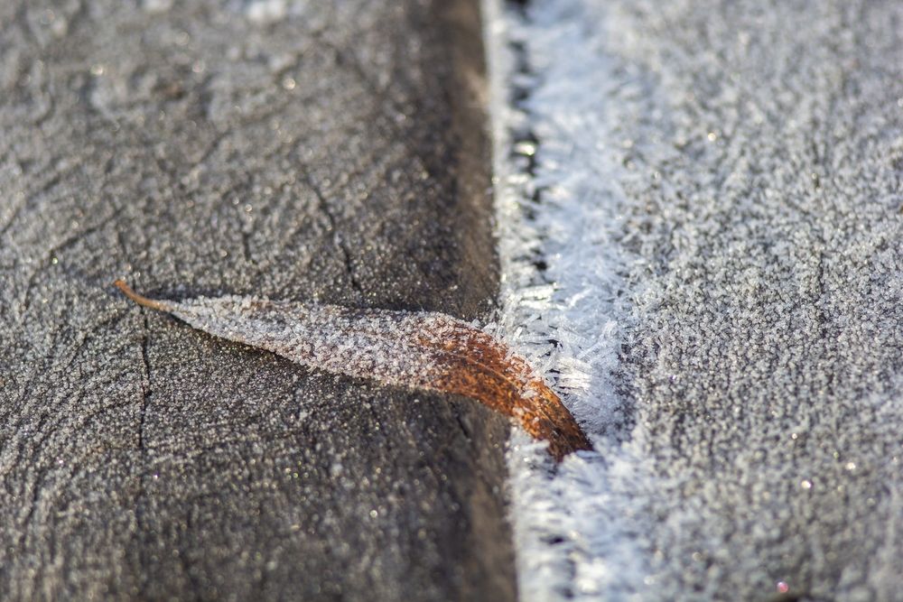 Photograph by Александр Лобынцев