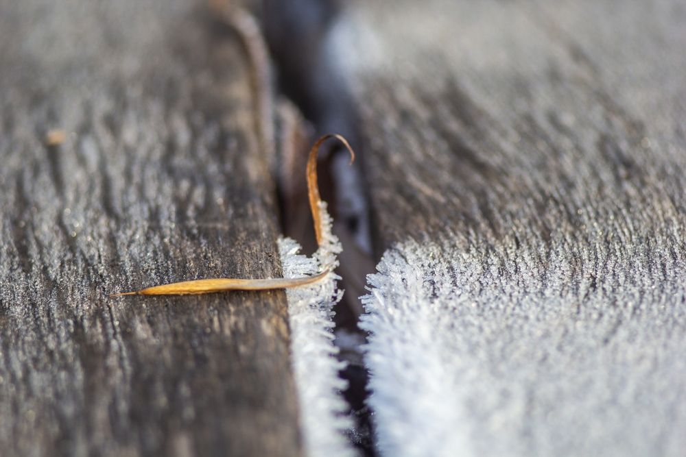 Photograph by Александр Лобынцев