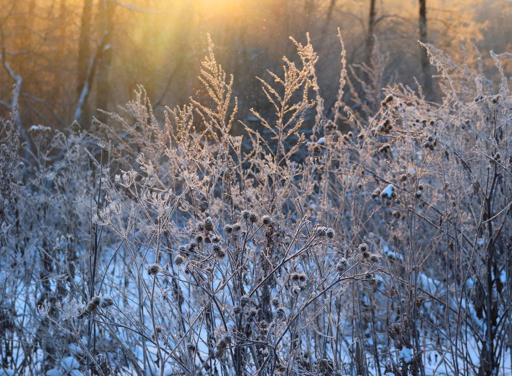 Photograph by Татьяна Пашинцева