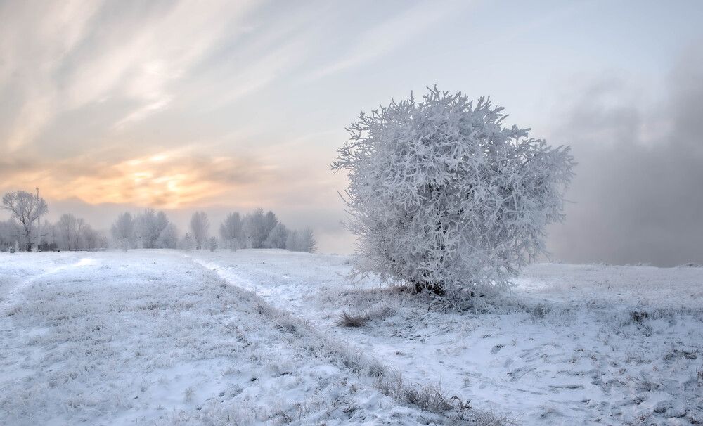 Замерло всё...
