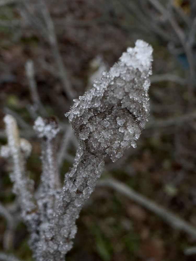 Фотография автора Галина Санчирова