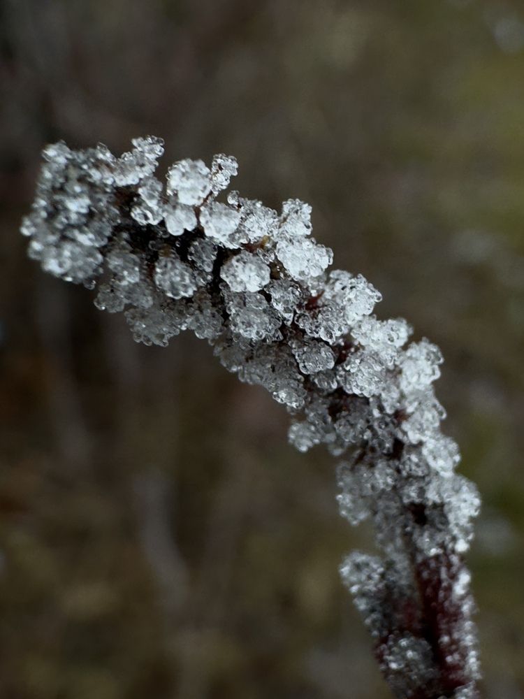 Фотография автора Галина Санчирова