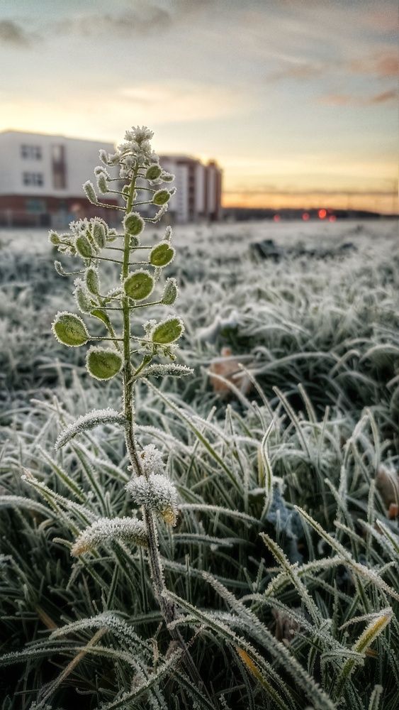 Фотография автора Никита Русецкий