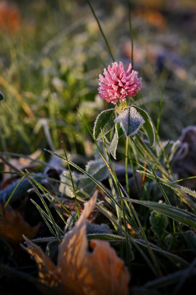Фотография автора Никита Русецкий