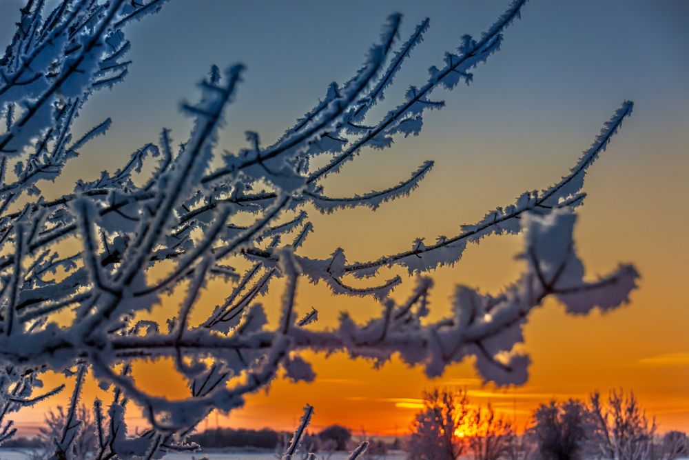 Photograph by Nikolai Barchan