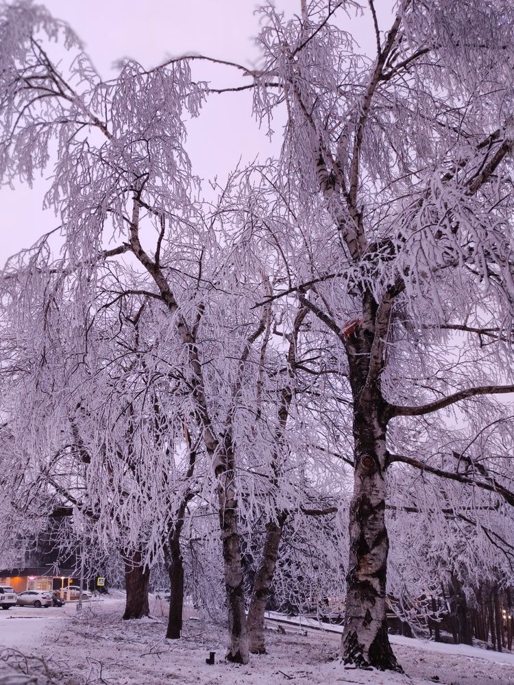 Photograph by Олеся Хижко