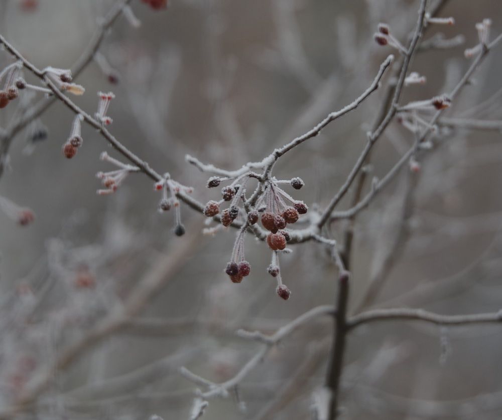 Photograph by Андрей Корытов