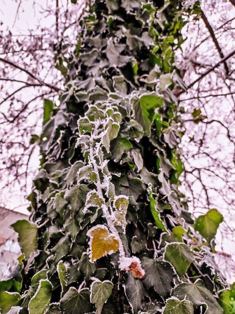 Photograph by Олеся Хижко