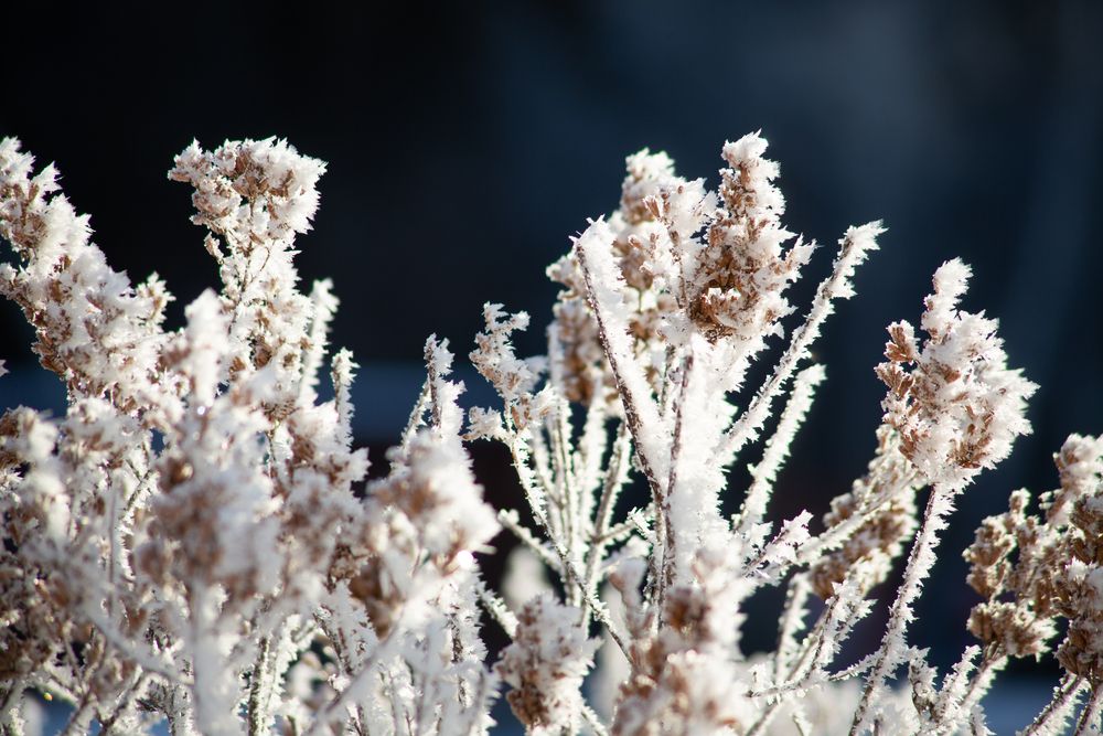 Photograph by Александр Коковихин