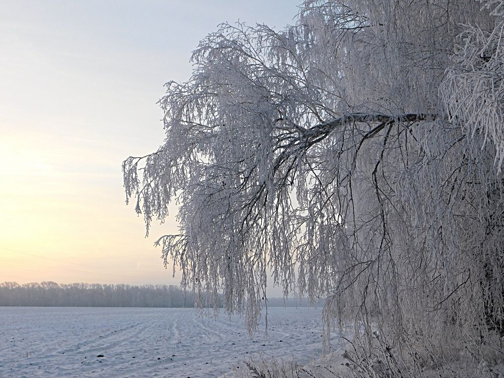 Photograph by Игорь Галеев