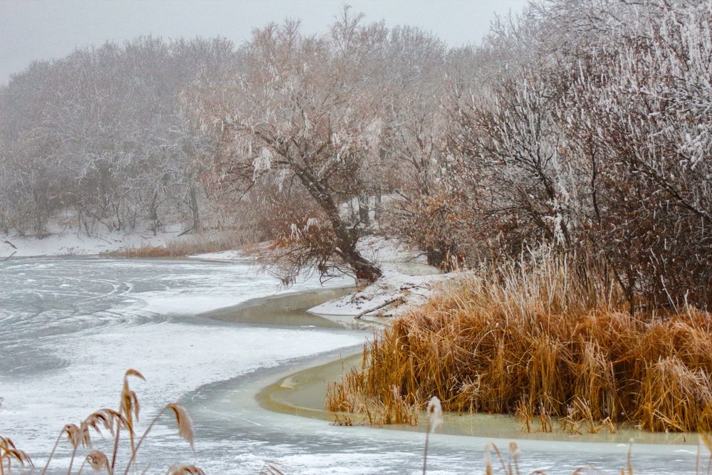 Photograph by Ирина Шибитова