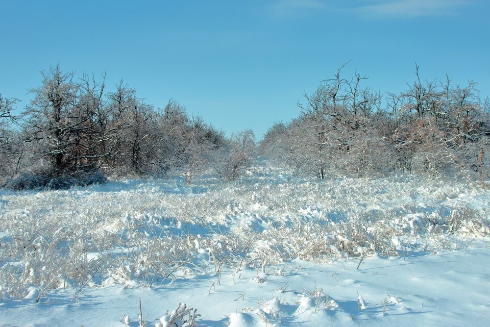 Photograph by Ирина Шибитова