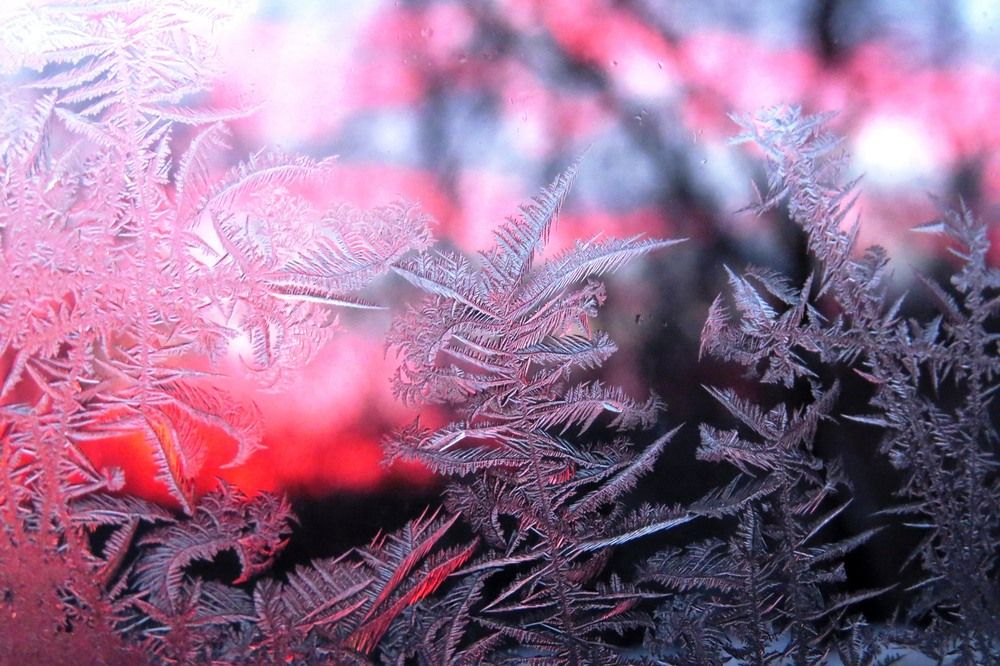 Мороз и солнце