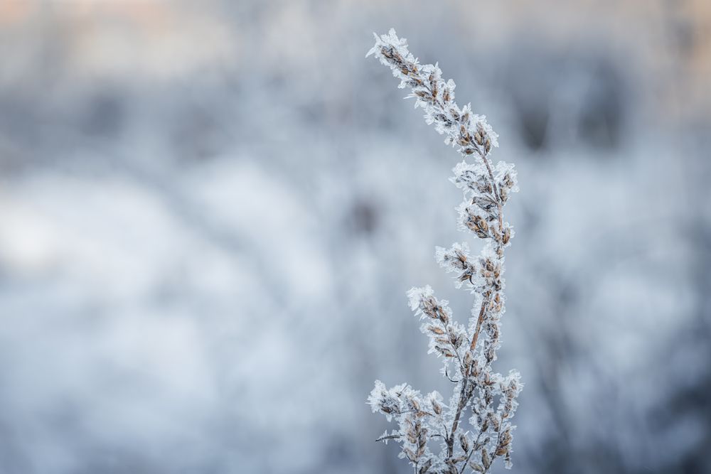 Photograph by Алексей Поликарпов