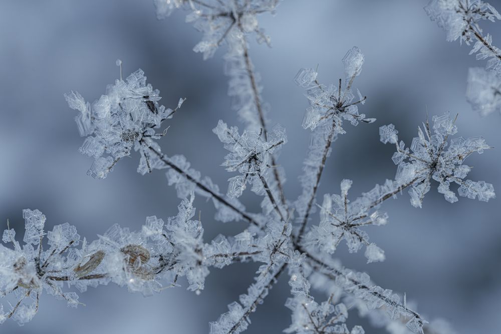 Photograph by Алексей Поликарпов