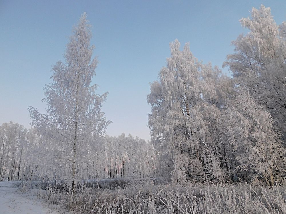 Photograph by Игорь Галеев