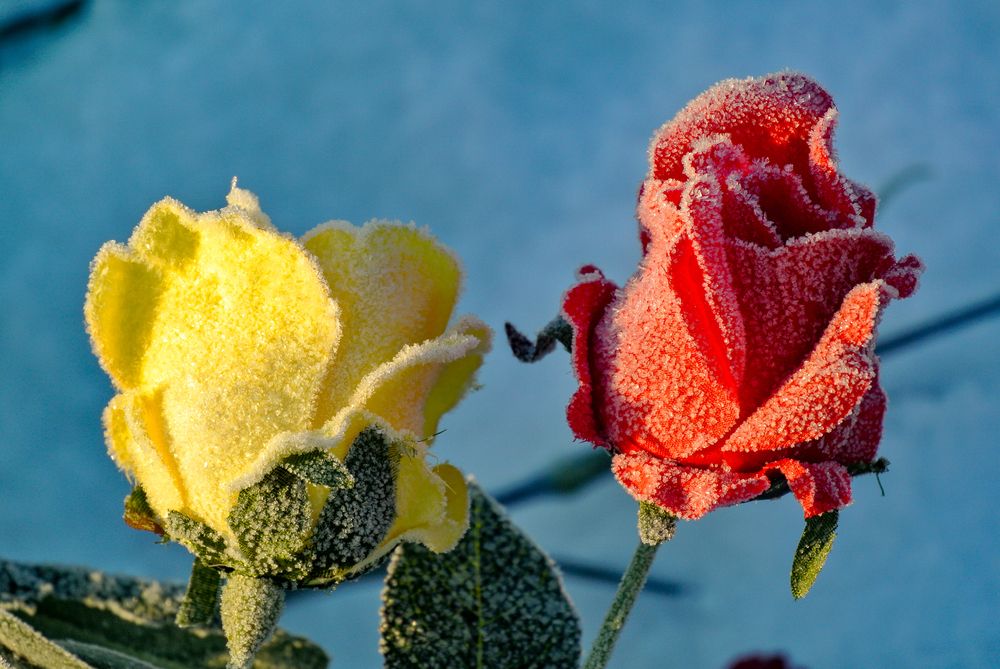 Photograph by Никита Иванов