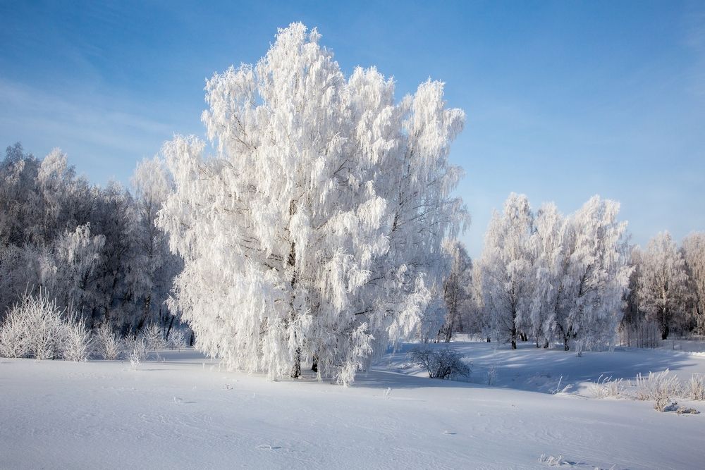 Photograph by виктор ковчин