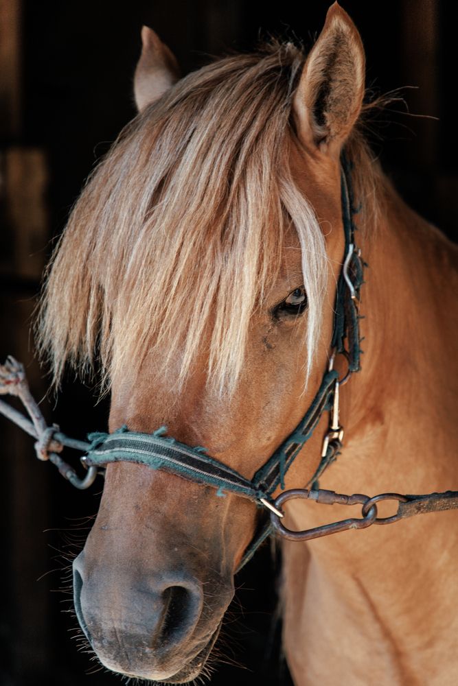 Фотография автора Олег Крец