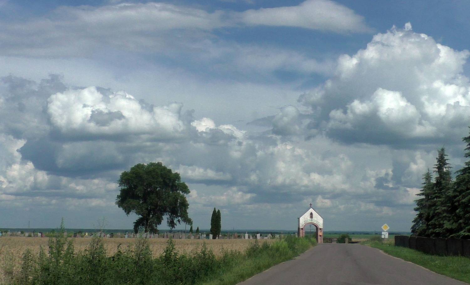 Фотография #13000930