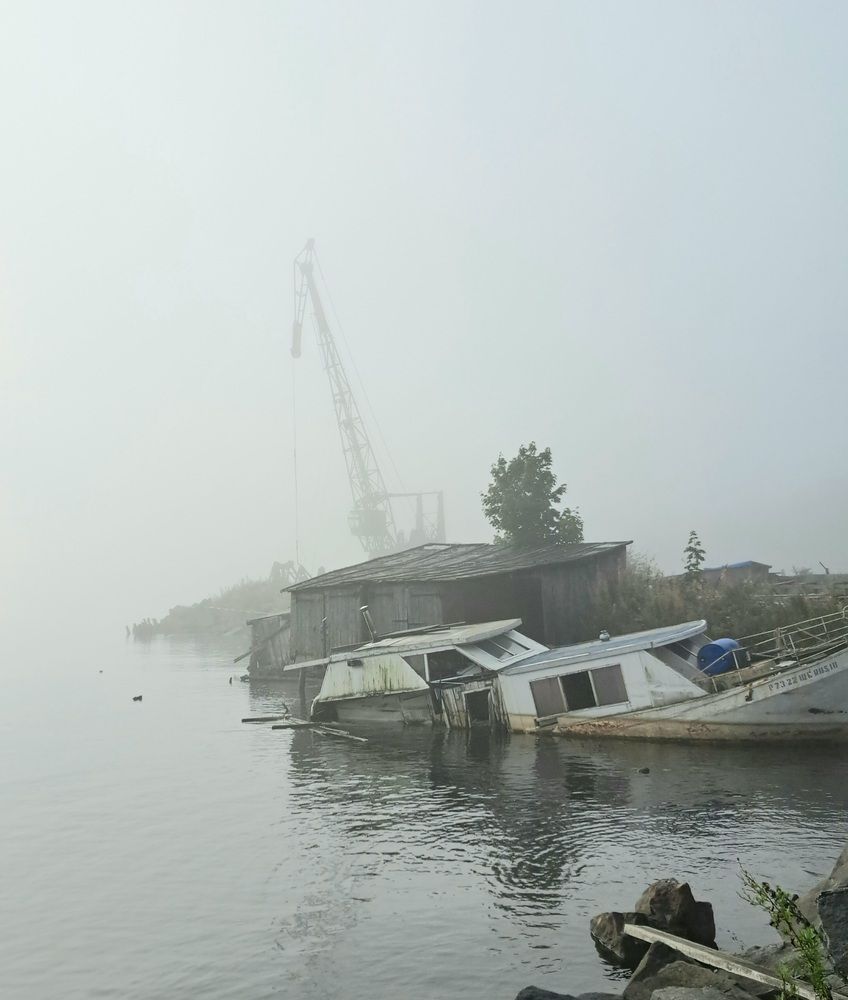 Photograph by Галина Перепечаева