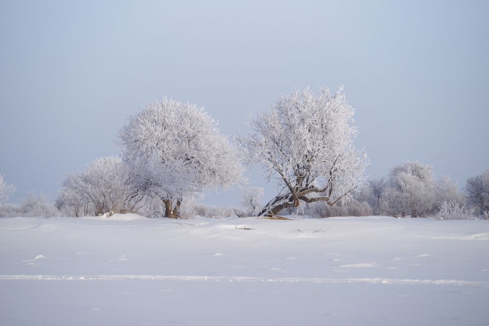 Photograph by Андрей Корытов