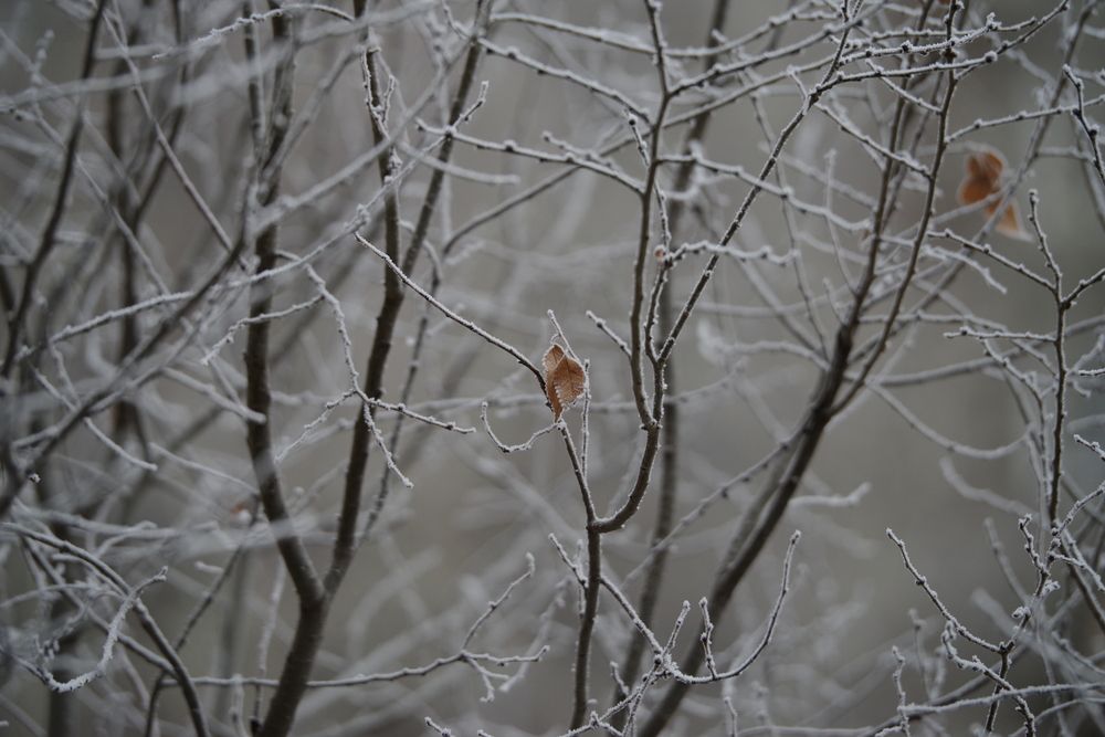 Photograph by Андрей Корытов