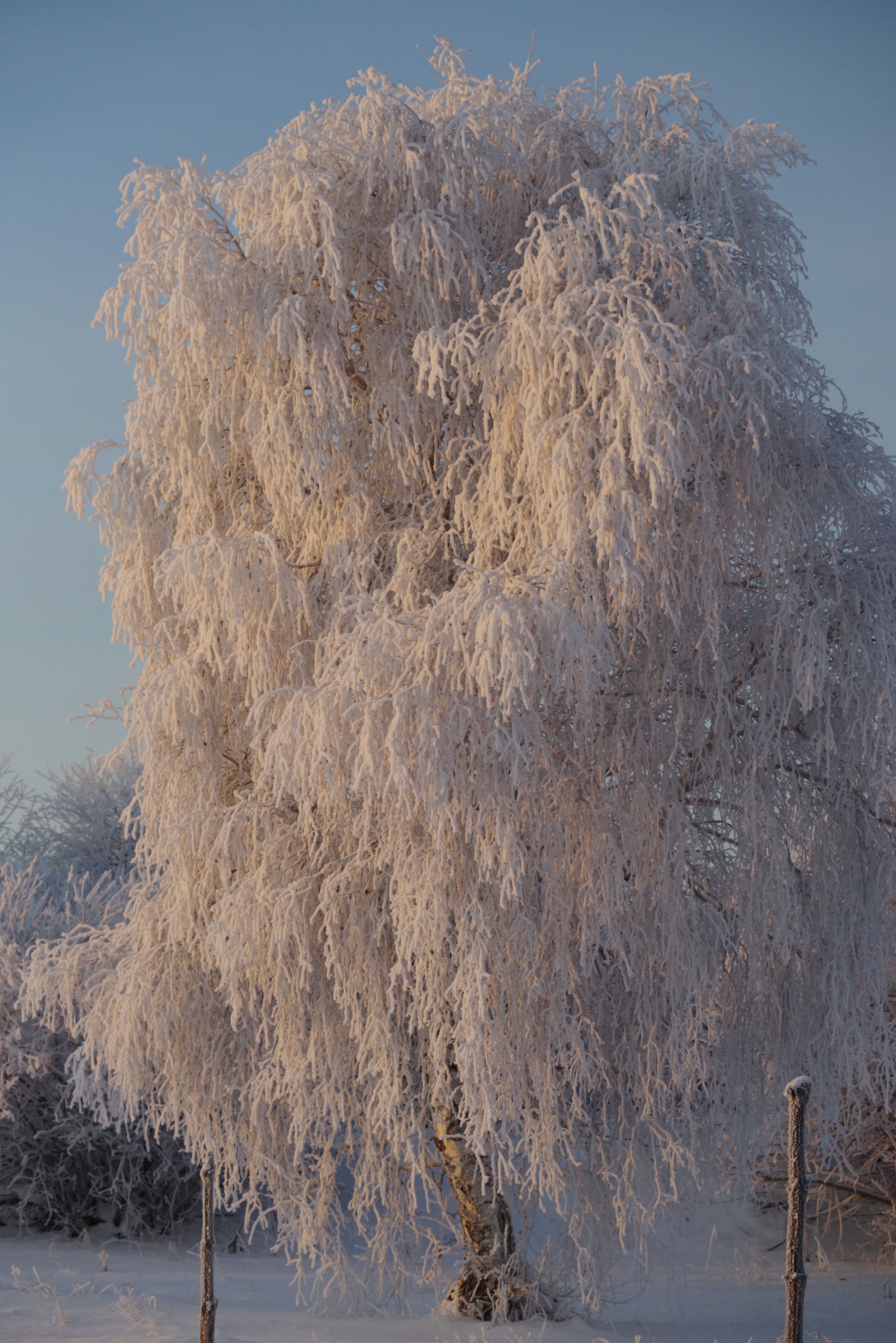 Photograph by Андрей Корытов