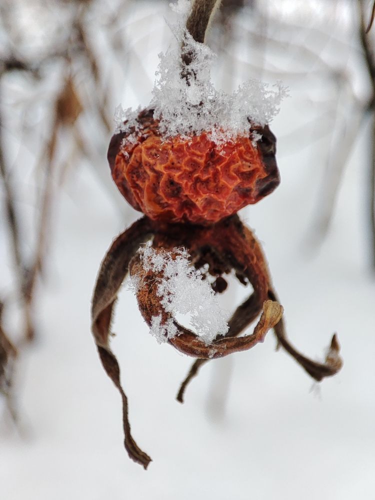 Photograph by Лолита Богачева