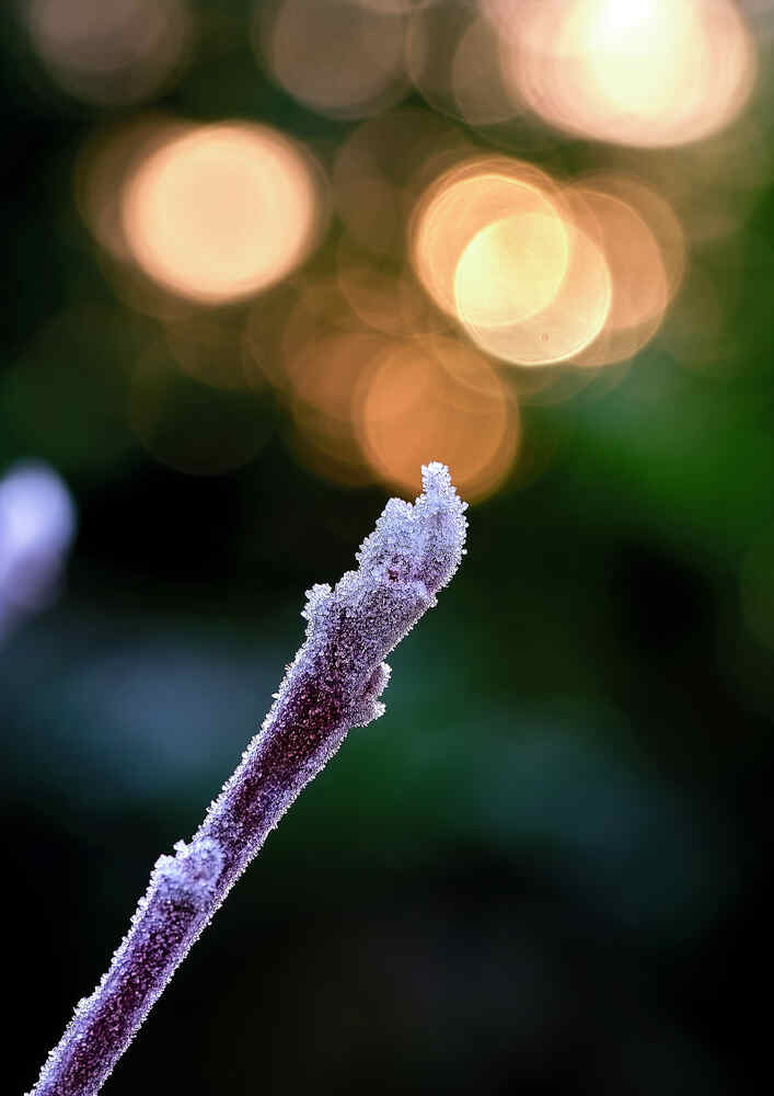 Photograph by Vorachith Thanane