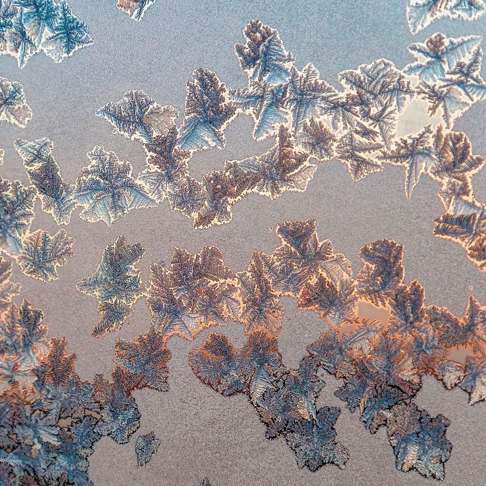 Photograph by Алексей Козлов