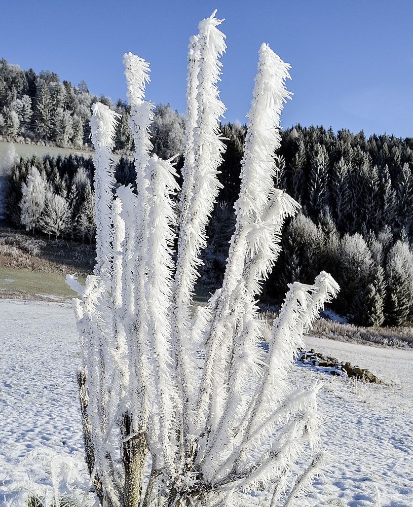 Фотография автора Александр