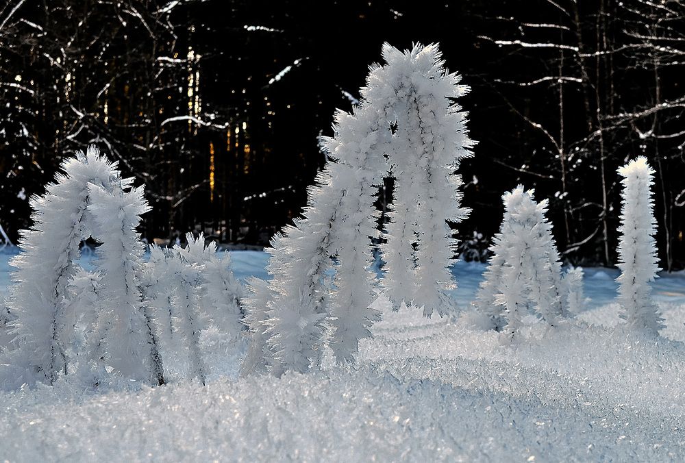 Фотография автора Александр