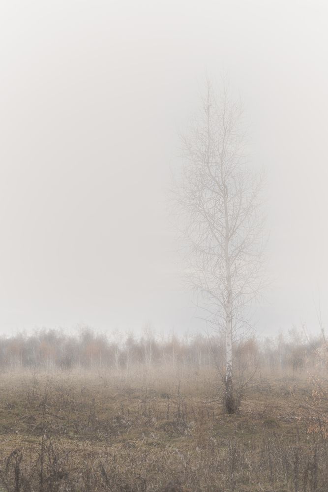 Photograph by Алексей Поликарпов