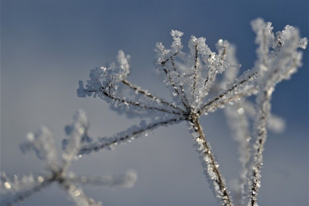 Фотография автора IRINA FILIPPOVA
