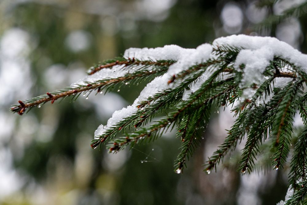 Фотография автора Валерий Бычков