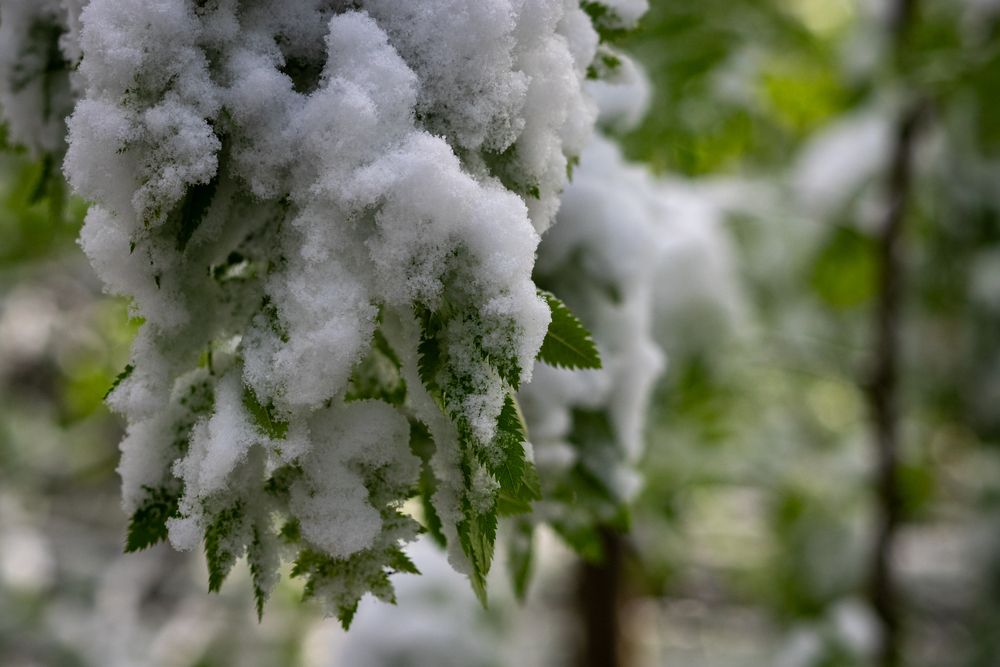 Фотография автора Валерий Бычков