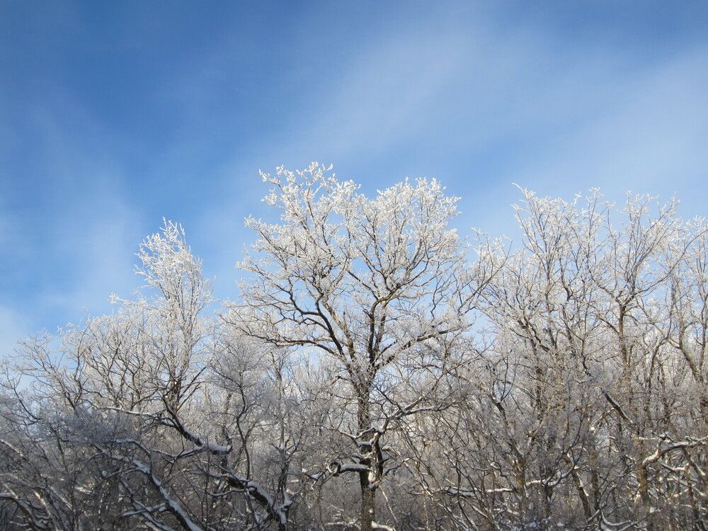 Фотография автора Валерий Бычков
