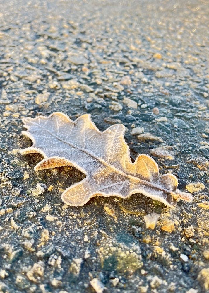 Photograph by Ольга Белоусова