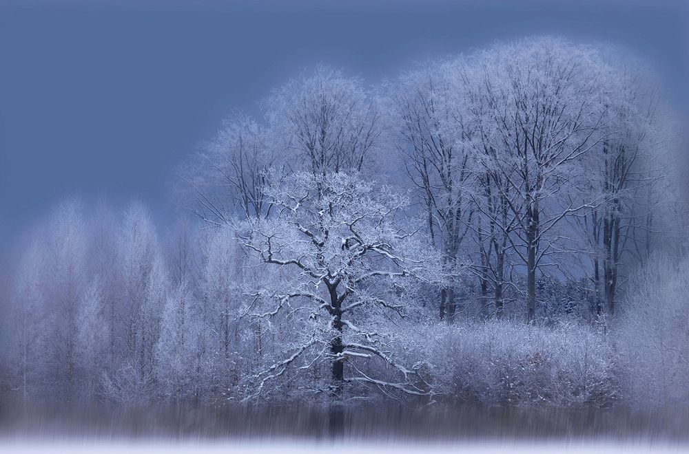 Photograph by Allan Wallberg