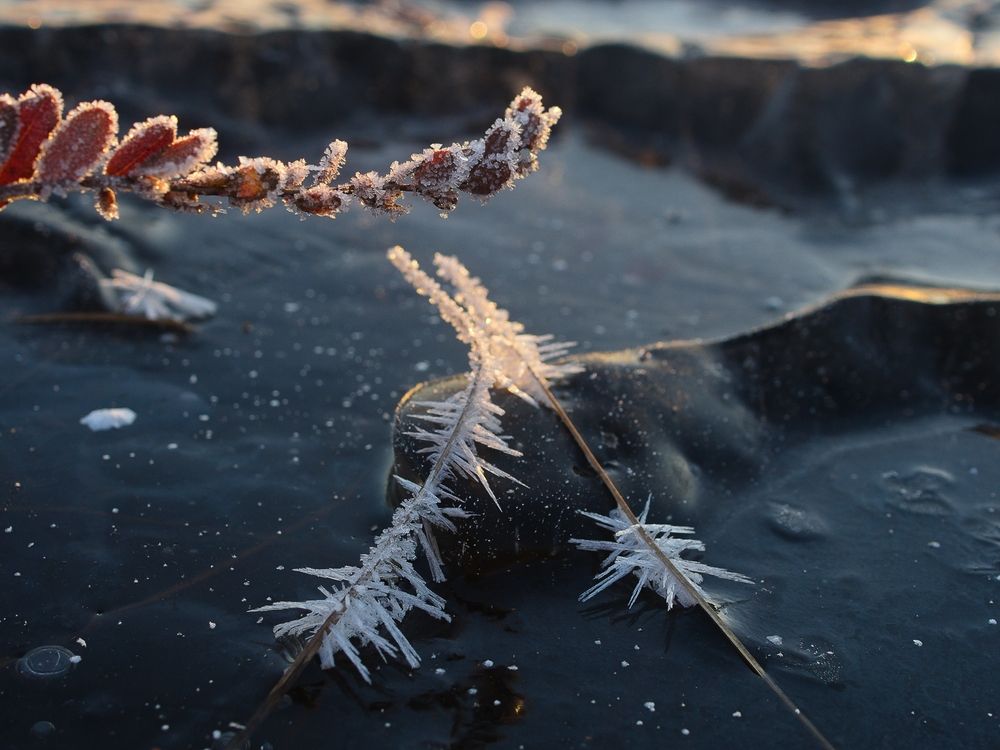 Photograph by Алексей Поляков