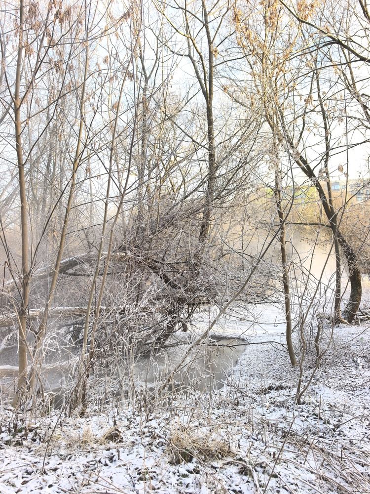 Photograph by Виталий Полозов