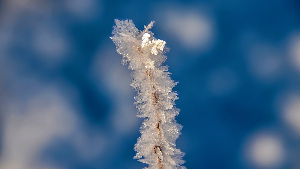 Много ли надо для отличного настроения?