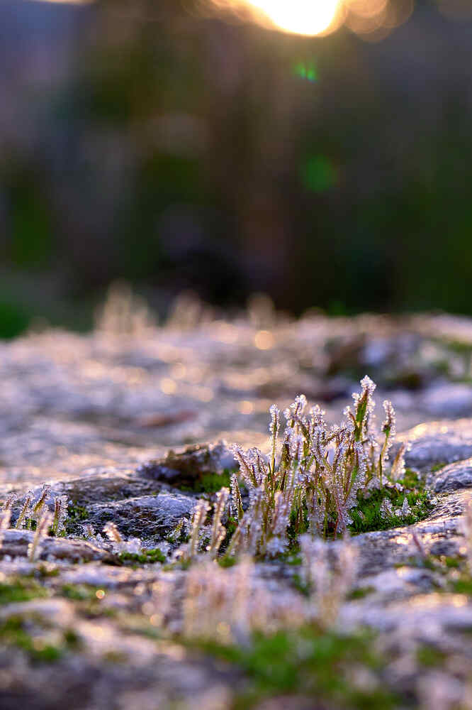 Photograph by Vorachith Thanane