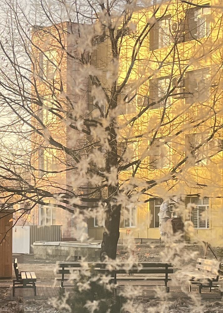 Photograph by Ольга Белоусова